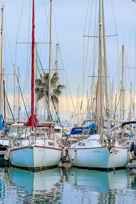 seguro de retiro